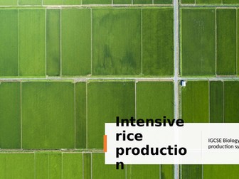 Food production: rice production