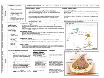 Aqa psychology paper 2 revision notes