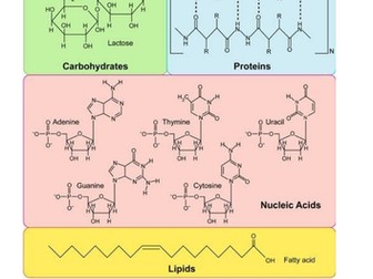 AQA A Level Biology - 3.1 Biological Molecules FULL TEACHING BOOKLET