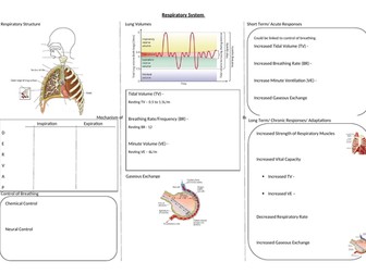 Anatomy and Physiology Revision