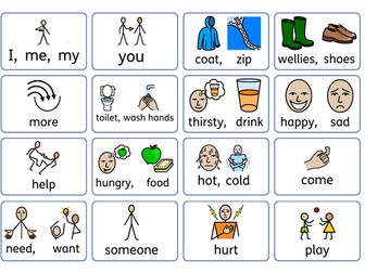 SEN General needs and wants communication chart