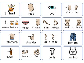 SEN Body parts and safeguarding communication chart