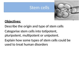 Stem cells A level Biology