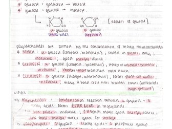 AQA AS Biology Notes