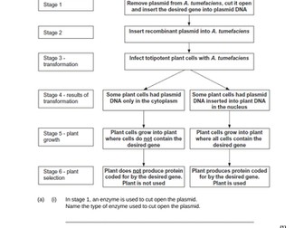 AQA A LEVEL BIOLOGY TOPICS 5-8 EXAM QUESTIONS AND MARK SCHEME