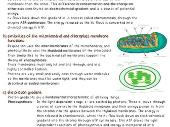 WJEC A2 Biology Important of ATP Summary