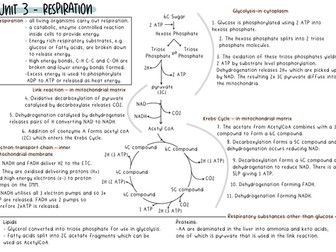 A2 Biology Respiration Revision Summary