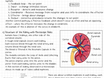 A2 Biology Role of the Kidney Summary