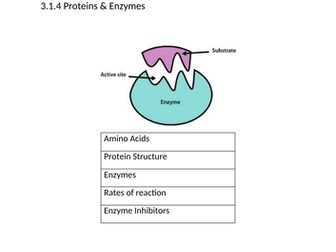 AQA A LEVEL BIOLOGY CLASS WORK BOOK PROTEINS AND ENZYMES