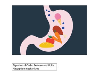 AQA BIOLOGY A LEVEL CLASS WORK BOOKLET DIGESTION AND ABSORPTION