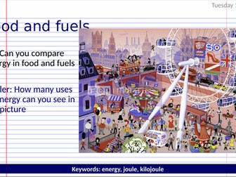 KS3 Food and fuels full lesson (energy)