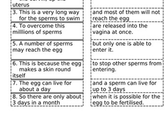 KS3 Science Reproduction - Fertilisation