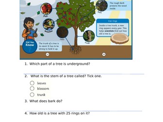 Reading Comprehensions Year 1