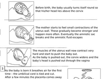 KS3 Science Reproduction - Labour