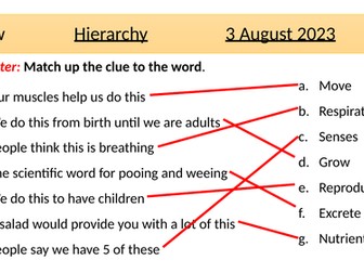 KS3 Science Cells - hierarchy