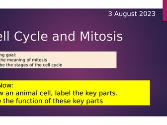 KS4 Combined Science - mitosis