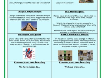 Y6 Homework (Maya, Rainforests, Hearts)