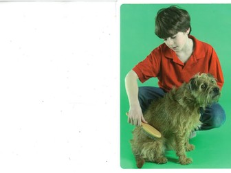 EAL Intervention - Grammatical morphemes