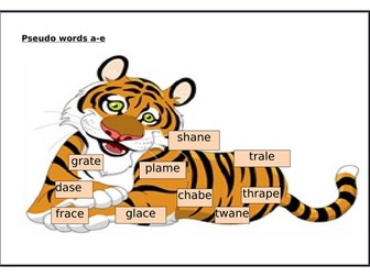 Pseudo word cards - KS1