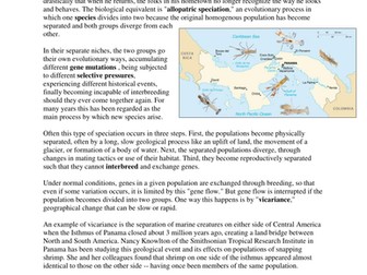 Selection Pressure and Speciation