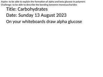 Biological Molecules