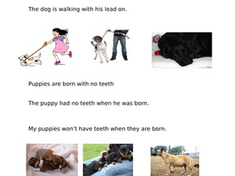 Match picture with caption