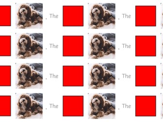 CVC sentence prompts