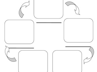 The Life Cycle of a Flowering Plant worksheet