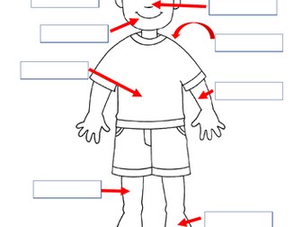 Las Partes del Cuerpo