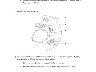 AQA A-Level Biology - Cells Exam Questions