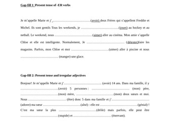 GRAMMAR GAP-FILL practice with markscheme