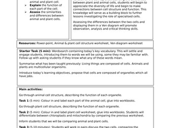 PGCE/training interview lesson plan!