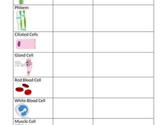 Specialised Cells Activity