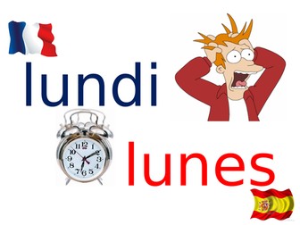 MFL classroom posters