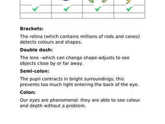 Outstanding Lesson Explanation Text How the Eye Works