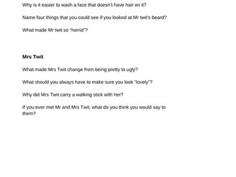 The Twits Questions
