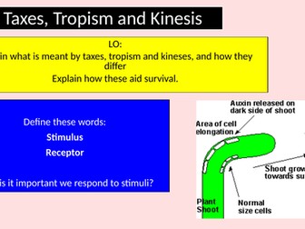 AQA A level Plant Hormones