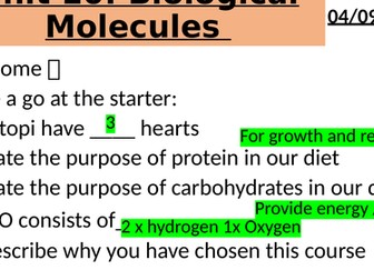 BTEC Applied Science: Unit 10 Biological Molecules Intro, Monomers & Polymers