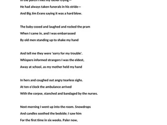 Mid-term break - Seamus Heaney - analytical writing using GCSE style question (2 lessons)