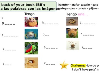 Los animales y el verbo tener