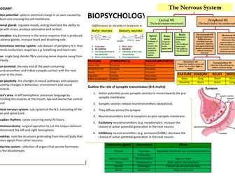 A Level Biopsychology