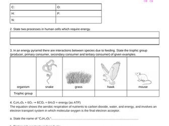 MYP4 Diagnostic Test