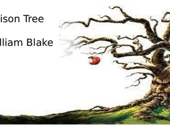 Edexcel Conflict revision flashcards