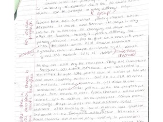 Importance of Proteins and Function Essay