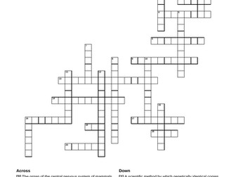 Cell division crossword