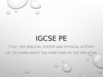 Pe - The skeletal system