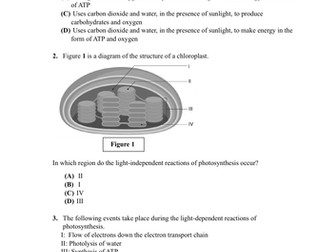 A Level Biology Photosynthesis Worksheet