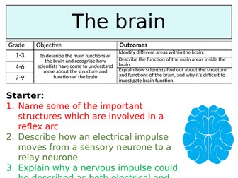 OCR GCSE (9-1) Biology - The brain