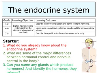 OCR GCSE (9-1) Biology - The endocrine system