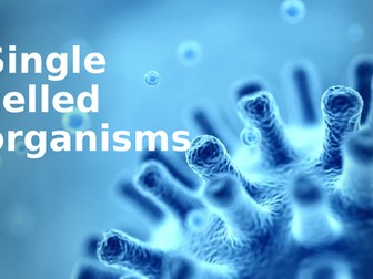 IGCSE Edexcel Biology Prokaryote cells